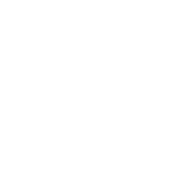 Premium Quality Icon_white
